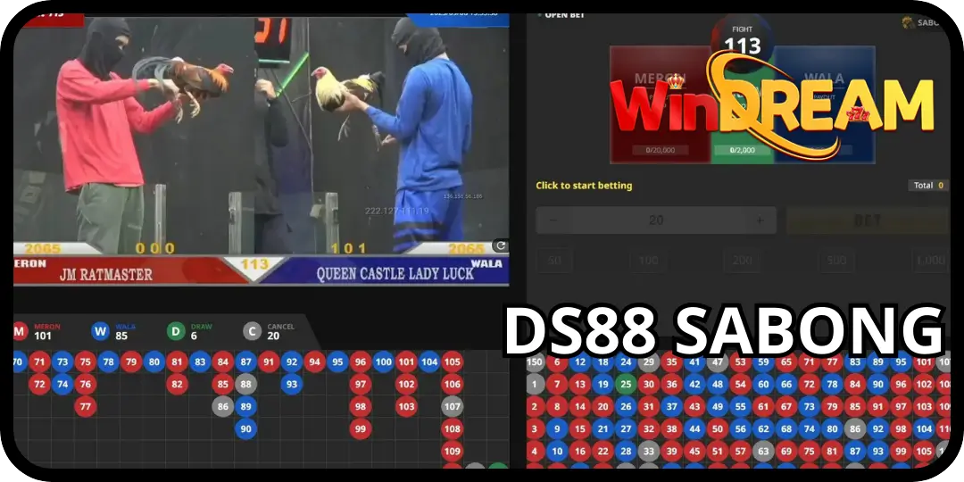 WinDream Sabong - Tips , Experience Premium DS88 Sabong at Windream 3 Interface ds88 sabong
